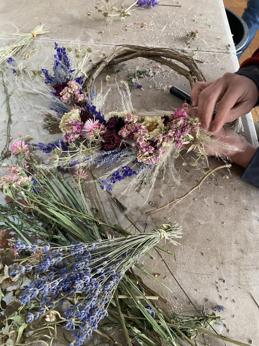 L’art floral en Haute-Provence : Joëlle et son Champ des Ombelles