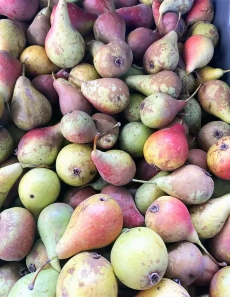 18ème édition de la Foire de la Poire Sarteau à La Javie