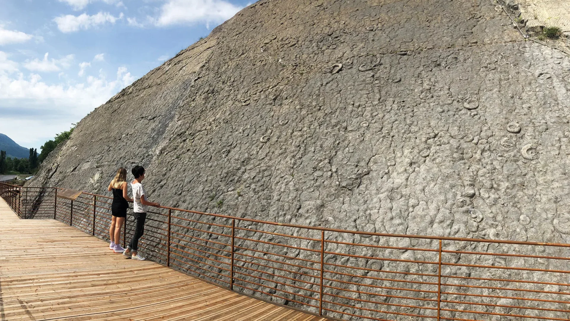 The Ammonite Slab - Provence Alpes Tourist Office - Digne les Bains