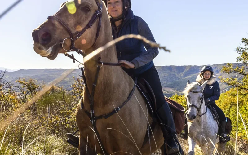 Balade à cheval en Haute Provence